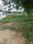 Aarohi club Main Image 1