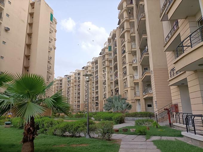 2 BHK Flat for rent in Karolan Ka Barh, Jaipur 950 Sqft Property ID