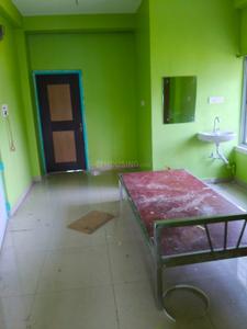 Bedroom Image of 800 Sq.ft 2 BHK Apartment / Flat for rent in Kalyani Nadia for Rs. 12000