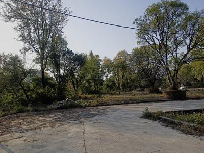Sinaula Plot View 3