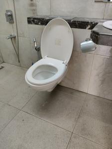 Common Bathroom Image of 756 Sq.ft 2 BHK Apartment / Flat for sale in Srishti Pride Phase 1, Bhandup West Mumbai for Rs. 16000000