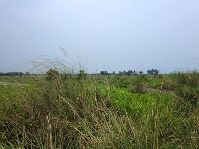 Image of 720 Sq.ft Residential Plot / Land for sale in Wander Valley, Joka, Kolkata for Rs. 269555
