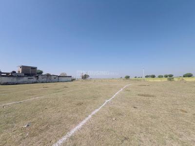 Siwaniya Omkara Ayodhya Plot View 3