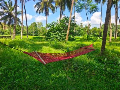 Image of 150 Sq.ft 1 RK Farm House for rent in Manipal, Udupi for Rs. 35000
