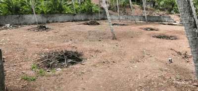 Image of 772 Sq.ft Residential Plot / Land for sale in Karakulam, Thiruvananthapuram for Rs. 12000000