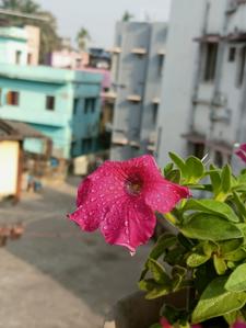 Image of 1000 Sq.ft 3 BHK Independent House for rent in Garia, Sonarpur, Kolkata for Rs. 13499