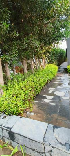 Safal Glade One Main Image 1