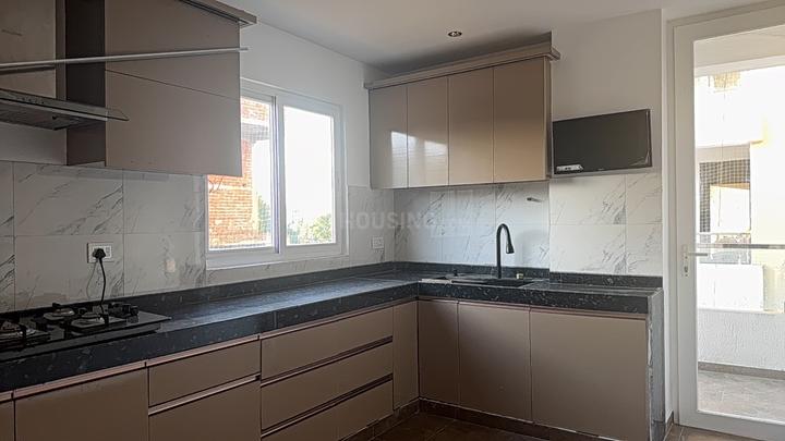 VN Exclusive 444 Main Image 1