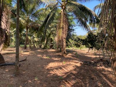 Image of 6600 Sq.ft Residential Plot / Land for sale in Nagaon, Alibag for Rs. 8000000