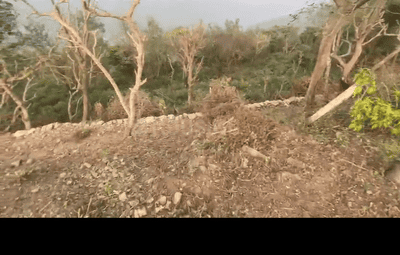 Morni Hills Plot View 2