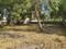 Sanidhya koba Plot View 2