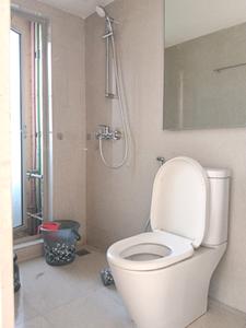 Common Bathroom Image of 300 Sq.ft 1 RK Apartment / Flat for sale in Hiranandani Solitaire Studio Apartment, Hiranandani Estate Thane for Rs. 7000000
