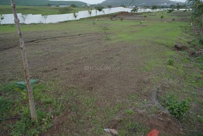 Image of 11000 Sq.ft Residential Plot / Land for sale in Makhmalabad, Nashik for Rs. 4500000