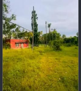 Image of 1200 Sq.ft Residential Plot / Land for sale in Varuna, Mysore for Rs. 13300000