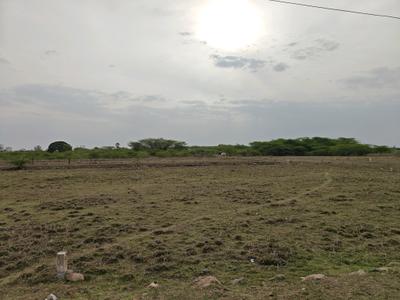 Image of 875 Sq.ft Residential Plot / Land for sale in Chengalpattu, Chennai for Rs. 1312500
