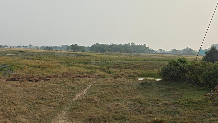 Sonarpur free land project Plot View 1