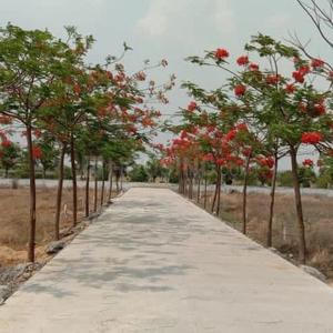 Image of 1400 Sq.ft 3 BHK Independent House for sale in Aranya City Of Woodland Pacheda, Pacheda 1, Raipur for Rs. 3300000