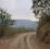 Freehold land Main Image 1