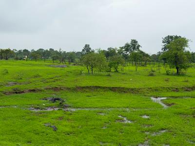 Image of 32670 Sq.ft Residential Plot / Land for sale in Murbad, Thane for Rs. 5075000