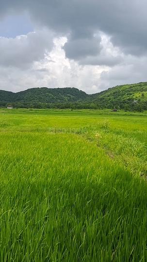 Nagaon Main Image 1
