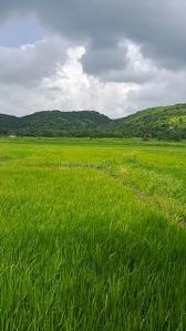 Image of 5443 Sq.ft Residential Plot / Land for sale in Uran, Navi Mumbai for Rs. 3000000