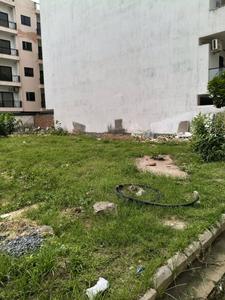 krisha colony Plot View 2