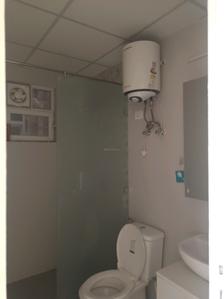 Common Bathroom Image of 1440 Sq.ft 3 BHK Apartment / Flat for sale in Signature Global Sco 37D by Signature Global, Sector 37D Gurgaon for Rs. 20700000