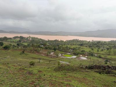 Image of 11000 Sq.ft Residential Plot / Land for sale in Bhor, Pune for Rs. 2100000