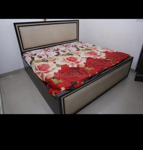 Bedroom Image of 750 Sq.ft 3 BHK Builder Floor for rent in Sector 7 Rohini New Delhi for Rs. 40000