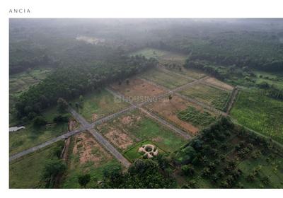 Image of 9100 Sq.ft Residential Plot / Land for sale in Mettupalayam, Coimbatore for Rs. 12000000