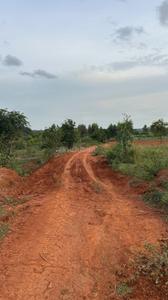 Image of 6000 Sq.ft Residential Plot / Land for sale in Hoskote, Bengaluru for Rs. 26000000