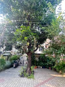 Image of 1800 Sq.ft 7 BHK Independent House for sale in Sector 54, Mohali for Rs. 40000000