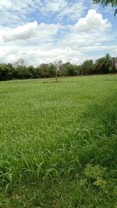 Image of 99999 Sq.ft Residential Plot / Land for sale in Kalayarkoil, Sivaganga for Rs. 300000000