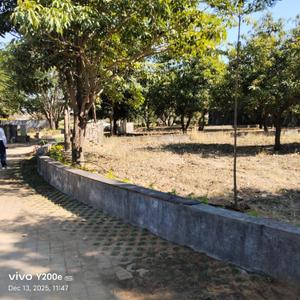 Image of 4483 Sq.ft Residential Plot / Land for sale in Sundarpura, Vadodara for Rs. 7700000