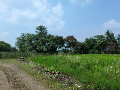 Image of 3600 Sq.ft Residential Plot / Land for sale in Natures Paradise, Joka, Kolkata for Rs. 850000