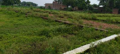 Image of 1000 Sq.ft Residential Plot / Land for sale in Lucknow Royal Royal Estate, Bhuhera, Barabanki for Rs. 1600000