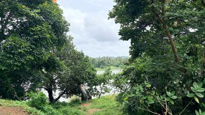 Image of 2613 Sq.ft Residential Plot / Land for sale in Shoranur, Palakkad for Rs. 1600000