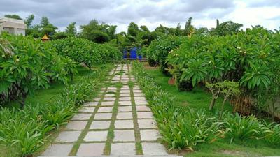 Image of 2590 Sq.ft Residential Plot / Land for sale in Uruli Kanchan, Pune for Rs. 6000000