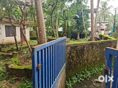 Image of 2600 Sq.ft Residential Plot / Land for sale in Thiruvannur, Kozhikode for Rs. 7200000