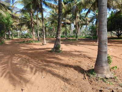 Image of 139392 Sq.ft Residential Plot / Land for sale in Nanjangud, Mysore for Rs. 35000000