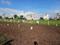 Wagholi Plot View 2