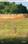 Vikas township Main Image 1