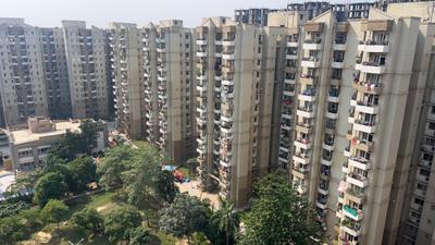 Balcony Image of 1027 Sq.ft 2 BHK Apartment / Flat for rent in Stellar Jeevan, Noida Extension Greater Noida for Rs. 19000
