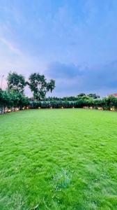 Image of 13500 Sq.ft 1 BHK Farm House for sale in Sector 15, Gurgaon for Rs. 70000012