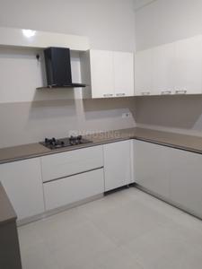 Kitchen Image of 1200 Sq.ft 3 BHK Apartment / Flat for rent in Vinoba Nagar Bilaspur for Rs. 15000