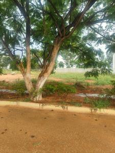 Image of 4000 Sq.ft Residential Plot / Land for sale in Century Artizan, Yelahanka, Bengaluru for Rs. 65000000
