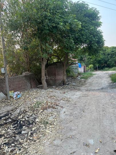 Badali Main Image 1