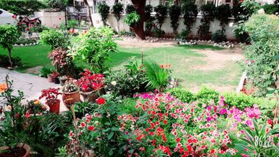 3 BHK Independent House