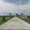 Tilhari Main Image 1
