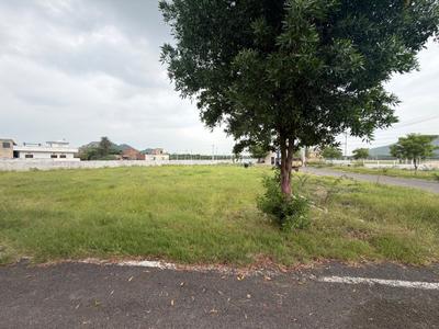 Debari Plot View 3